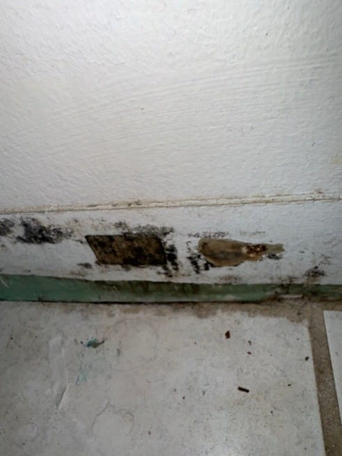 BIO HAZARD REMIEDIATION